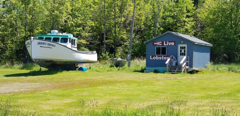          The fishing boat Double Trouble, and a small shop advertise live lobsters on the Belyea (formerly Preston) Road in Edmunds, Maine.
   