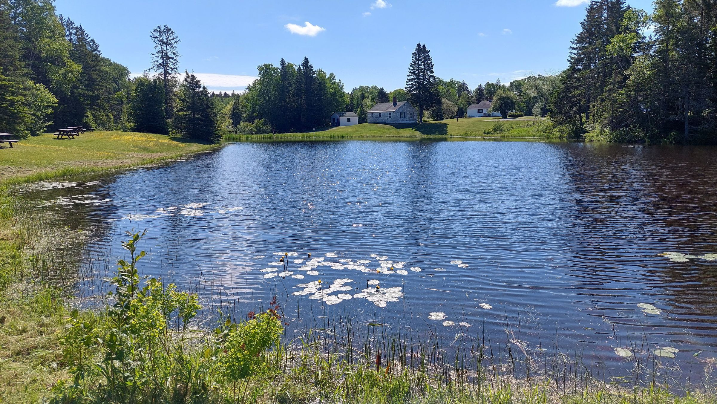 Cobscook Bay State Park Headquarters; Photo Courtesy of Ranger Evan Smith