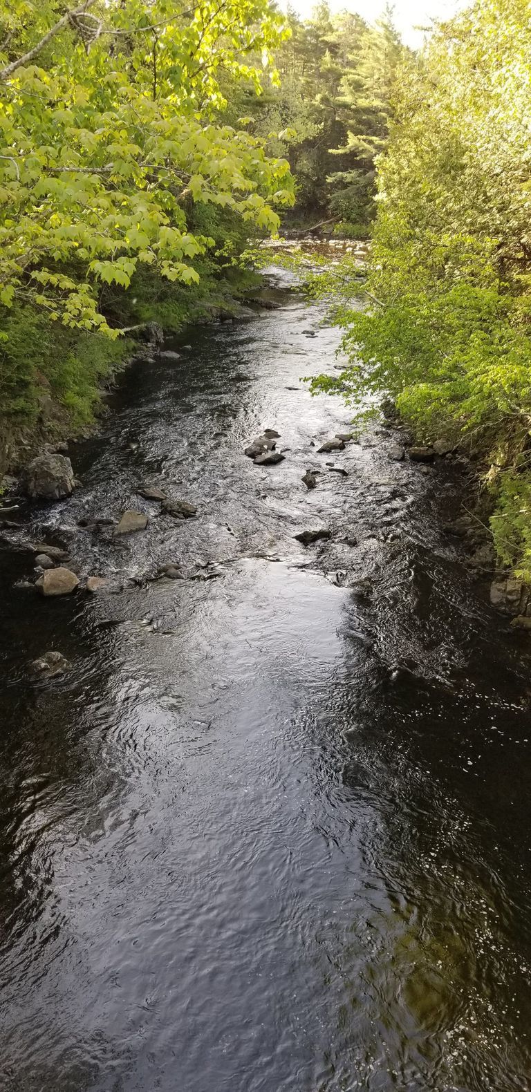          Rocky Gorge on the Dennys River, from the Route 86 Bridge; View of a notorious rocky gorge below the site of the lumberman's dam described by John James Audubon on his visit to Dennysville in 1832, in his essay 