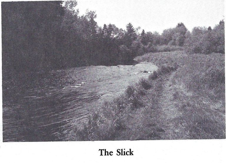          The Slick on the lower Dennys River; Reproduced from 