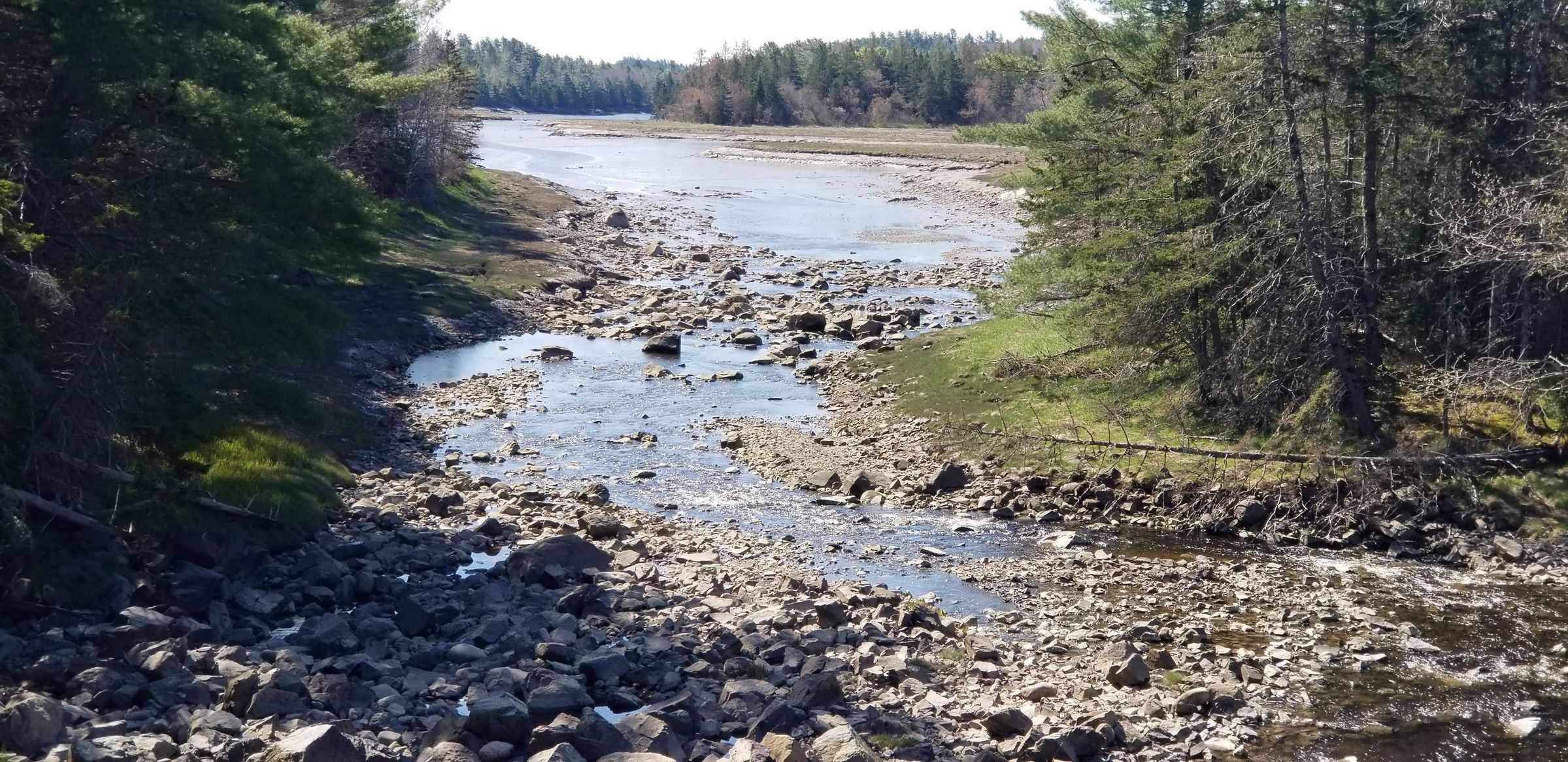 Hardscrabble River, Dennysville, Maine