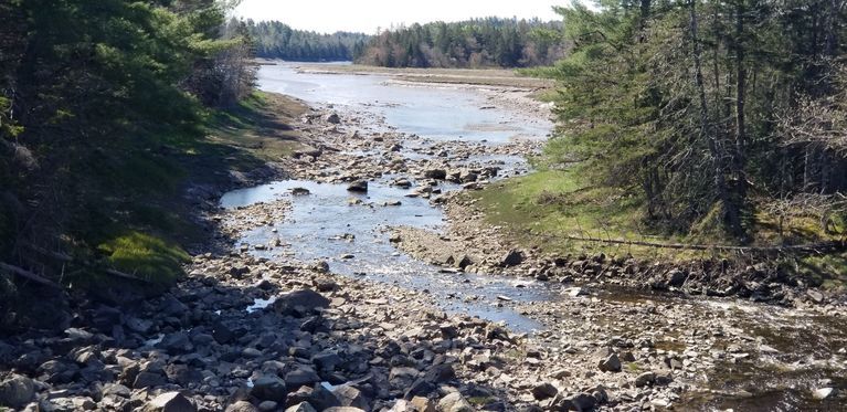          Hardscrabble River, Dennysville, Maine
   