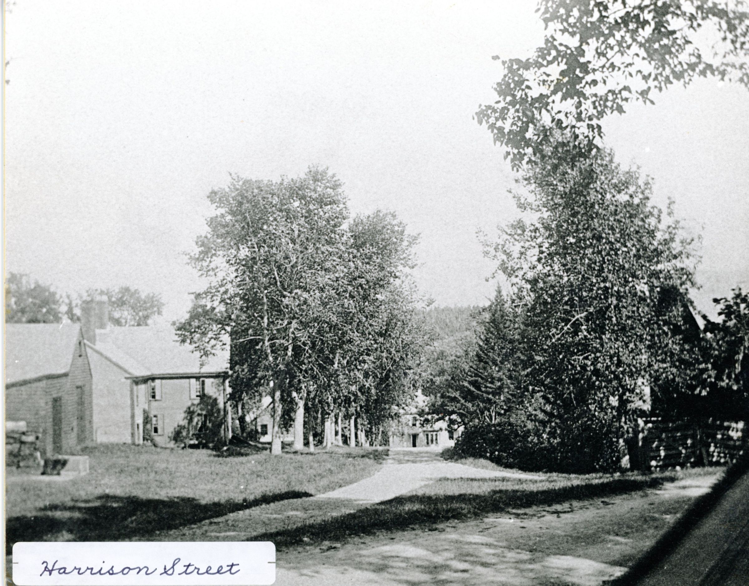 Harrison Street, Dennysvlle, Maine