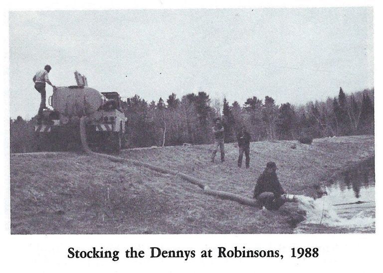          Salmon Smolts are transferred into the Dennys River at Robinson's Cottages in 1988.
   