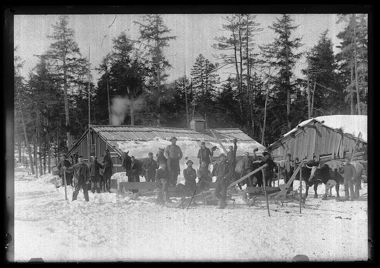          Logging Camp in the Woods near Dennys River, Maine
   