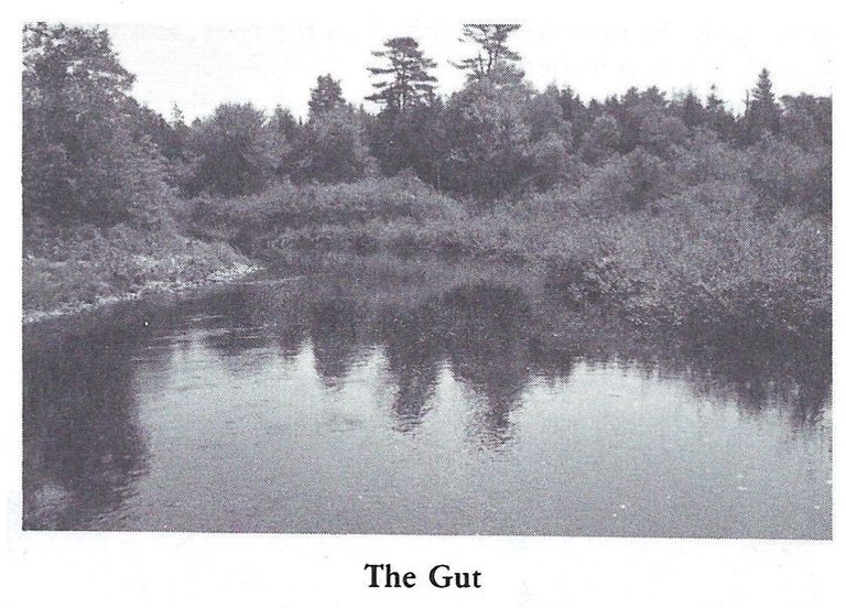          The Gut on the Dennys River; Reproduced from 