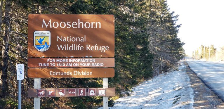          Moosehorn Southern Boundary of the Edmunds Division; Route 1 signage marking the southern boundary of the Moosehorn National Wildlife Refuge in Edmunds, Maine.
   