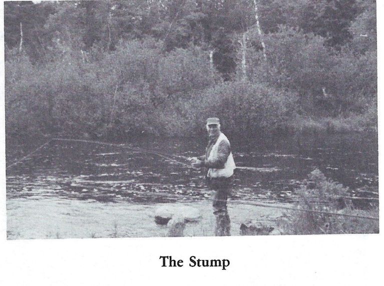          The Stump Pool on the Dennys River; Reproduced from 