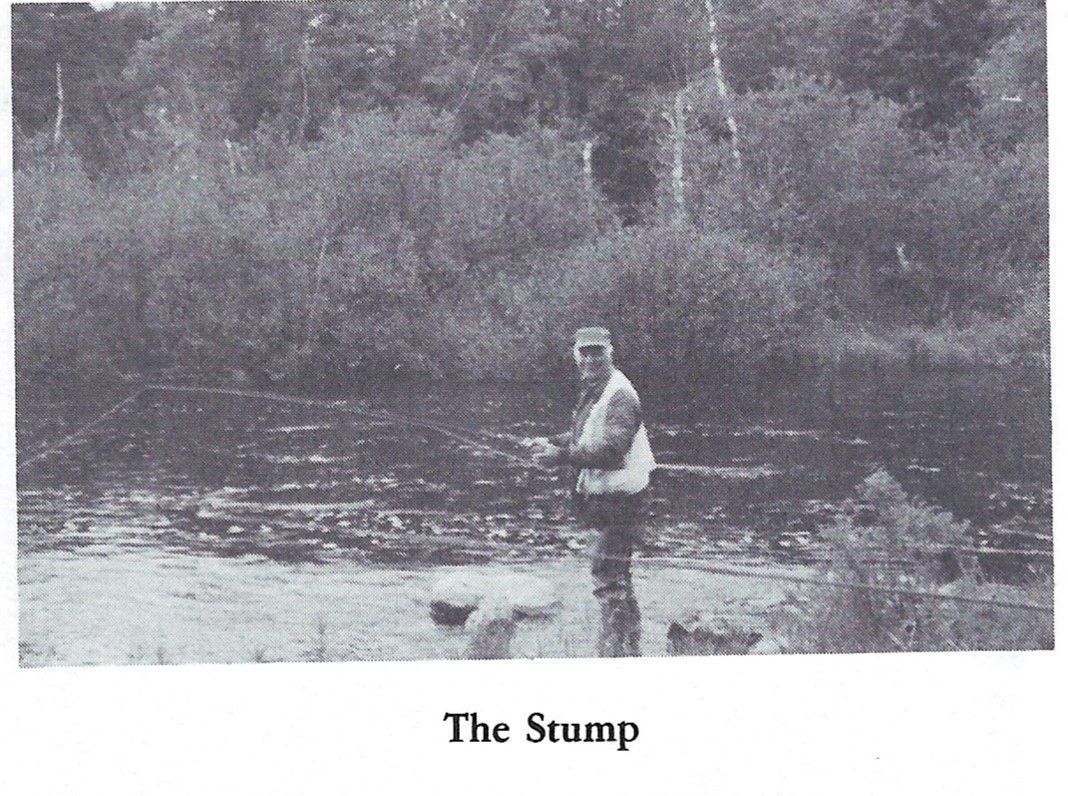 The Stump Pool on the Dennys River; Reproduced from
