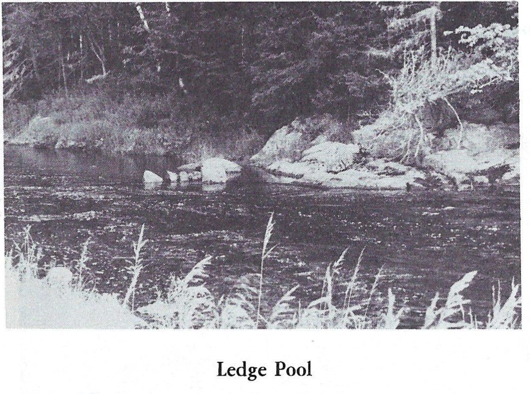 The Ledge Pool on the Dennys River; Reproduced from