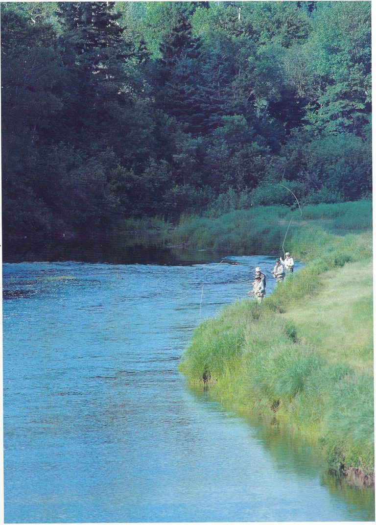          Fly Fishing on the Dennys River; Reproduced from 