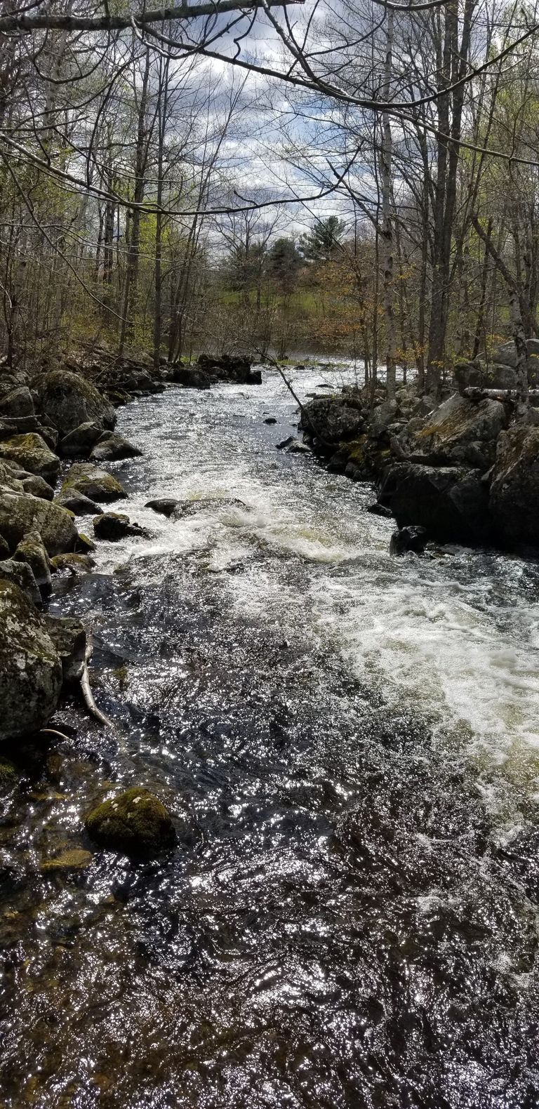          Dennys River, Meddybemps, Maine; View of the Dennys river below the Meddybemps Lake Dam, about sixteen inches below high water.
   