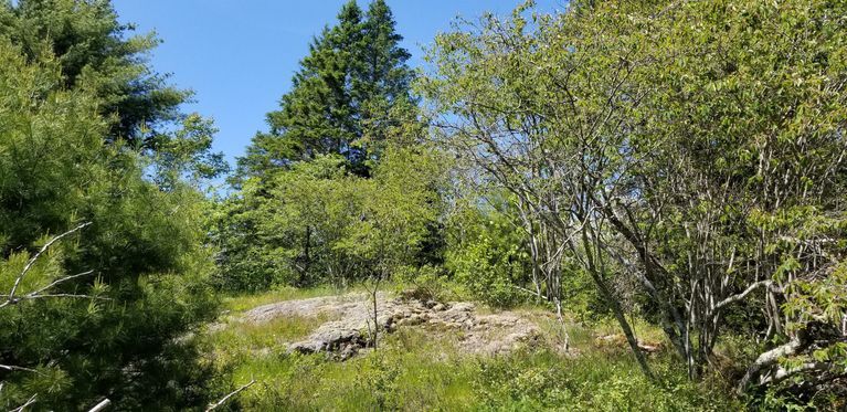          Richard Hobart, Sr. House Site, Edmunds, Maine
   