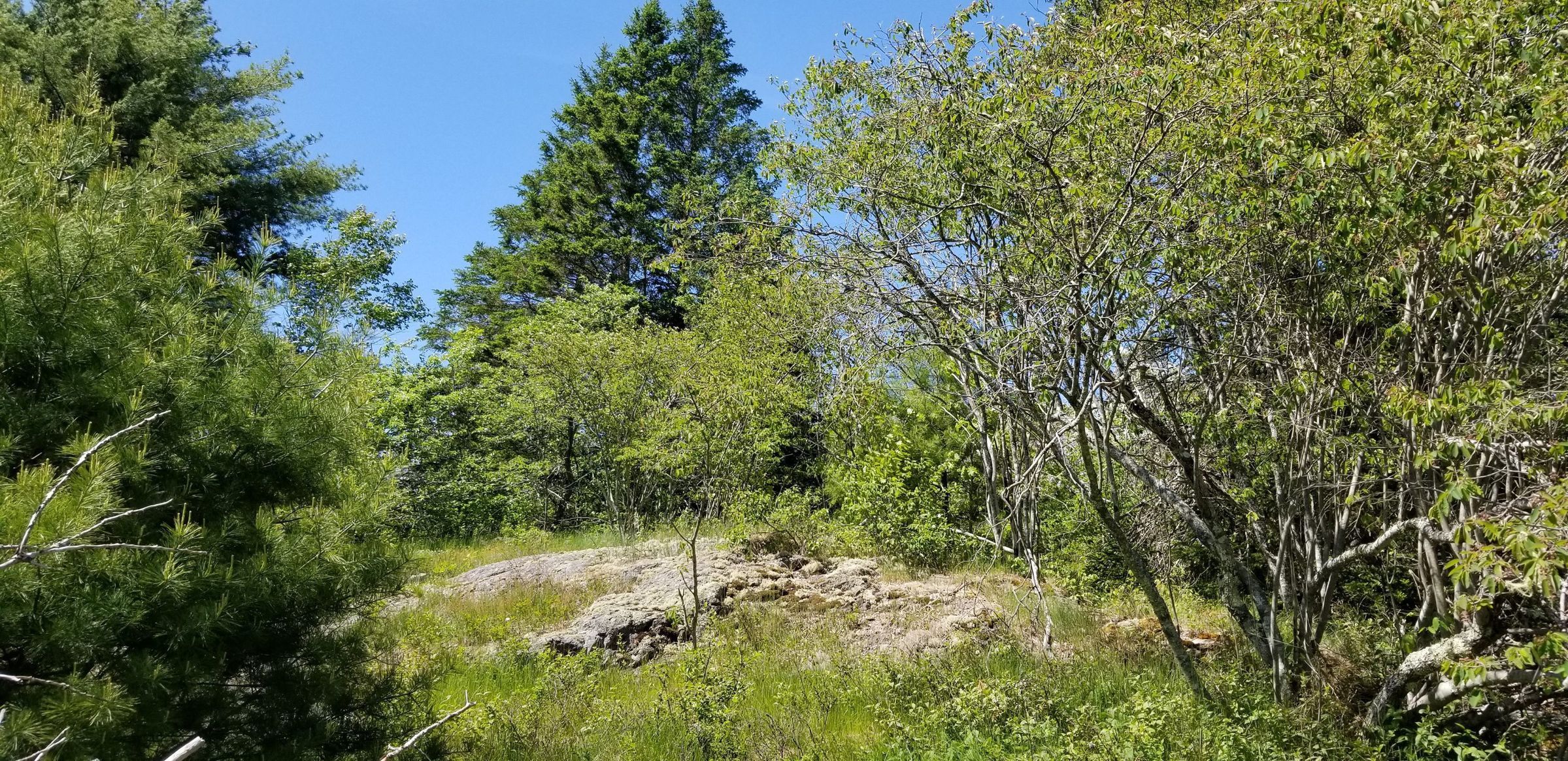 Richard Hobart, Sr. House Site, Edmunds, Maine