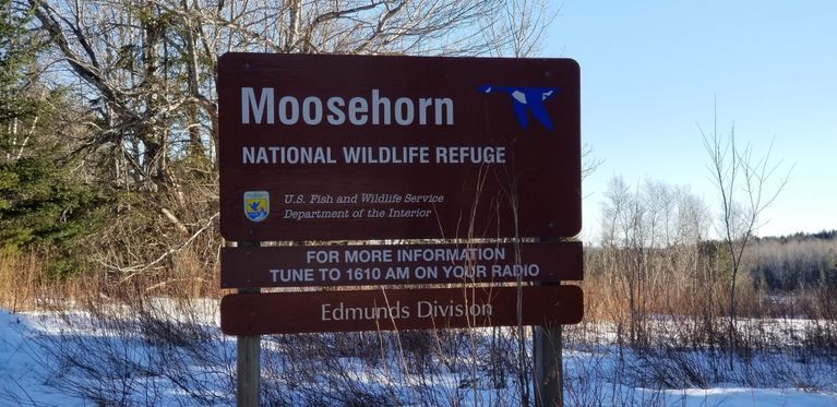          Moosehorn National Wldlife Refuge, Edmunds, Maine
   