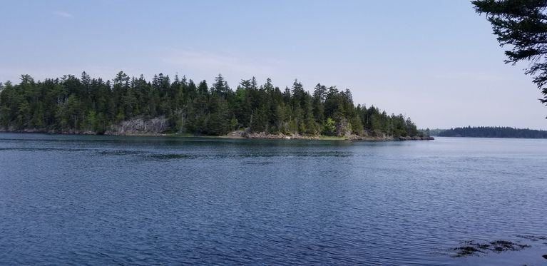          Hallowell's Island, in the Dennys Bay, Edmunds, Maine
   