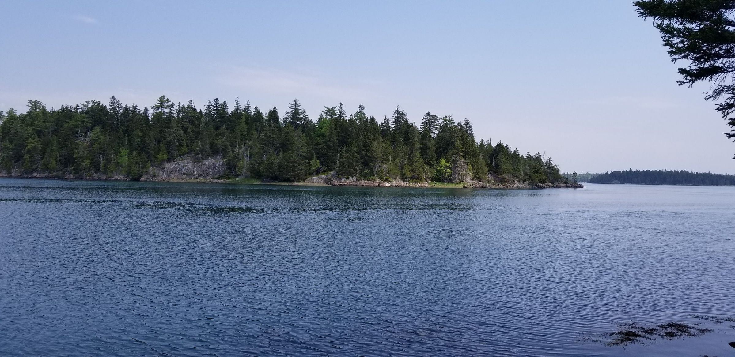 Hallowell's Island, in the Dennys Bay, Edmunds, Maine