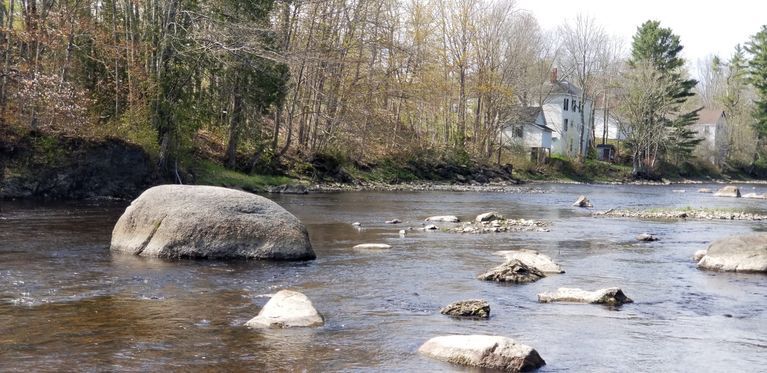          Audobon's Rock, Dennys River, Maine; View from the Edmunds side of the river. The Mattheson  house and the Dennysville Post Office are in the background.
   
