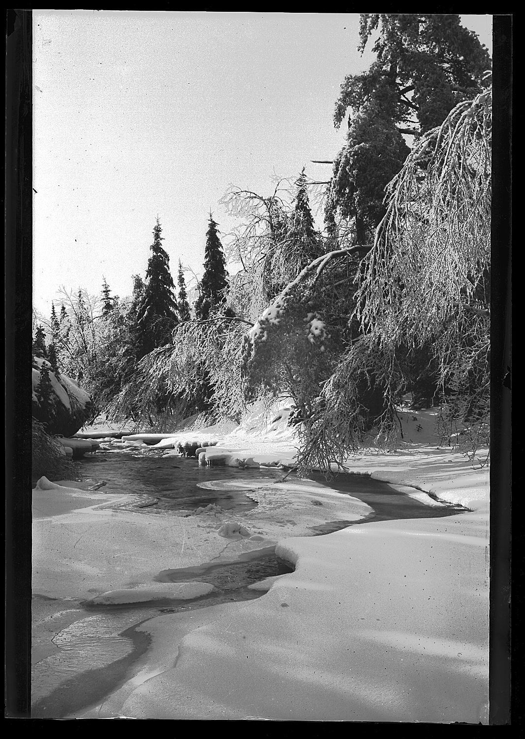 Ice on the Dennys River picture number 1