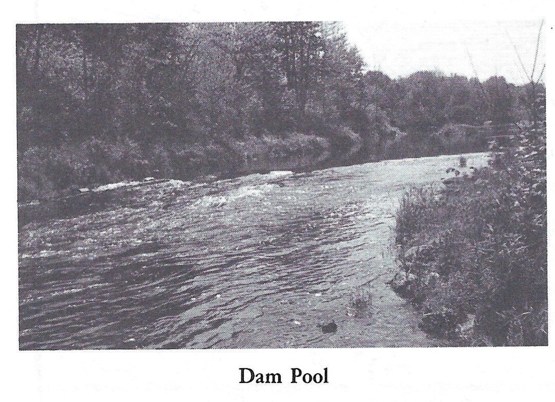 Dam Pool on the Dennys River; Reproduced from
