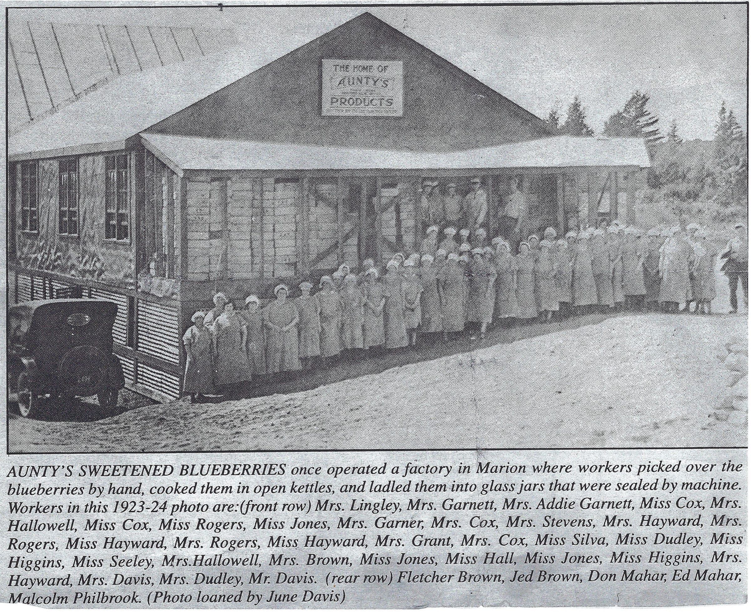 Aunty's Blueberry Cannery in Marion, Maine 1923-24; Workers at Aunty's Products Cannery in Marion, Maine pose for their picture during the 1923-24 season, in this photograph from June Davis and published by the Quoddy Tides.