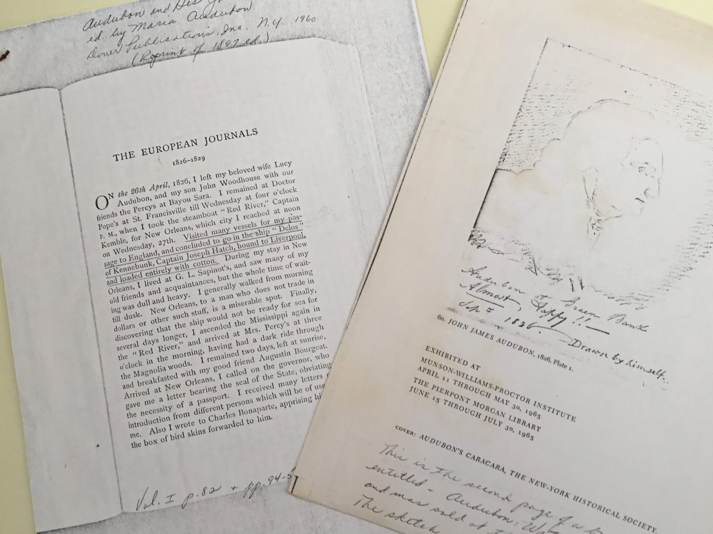 Items Related to John James Audubon picture number 1