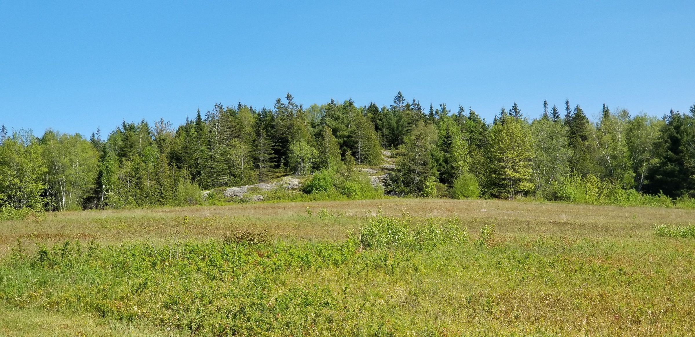 Page's Mountain, Dennysville, Maine; At 222 feet above sea level, the crest of Page's Mountain is the highest point of land in Dennysville.