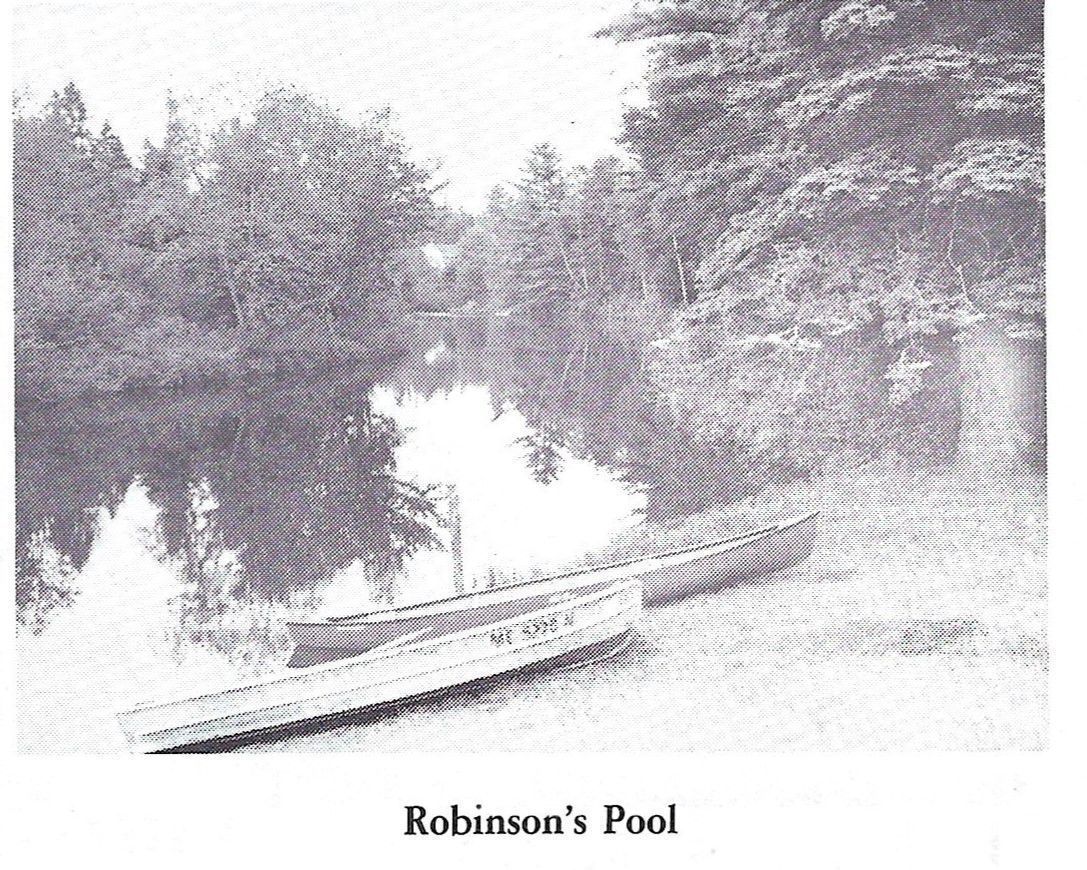 Robinson's Pool; Image from
