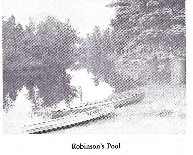          Robinson's Pool; Image from 