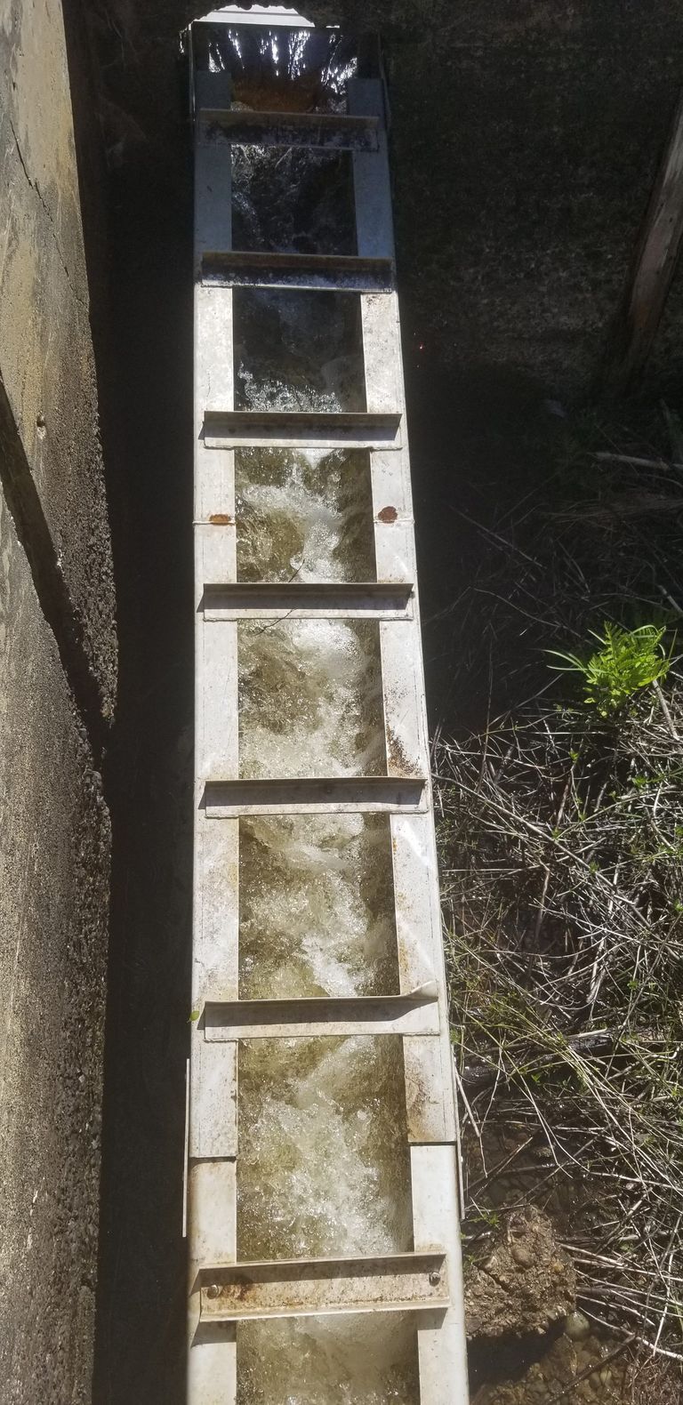          Fish ladder at Great Works Pond, Edmunds, Maine
   