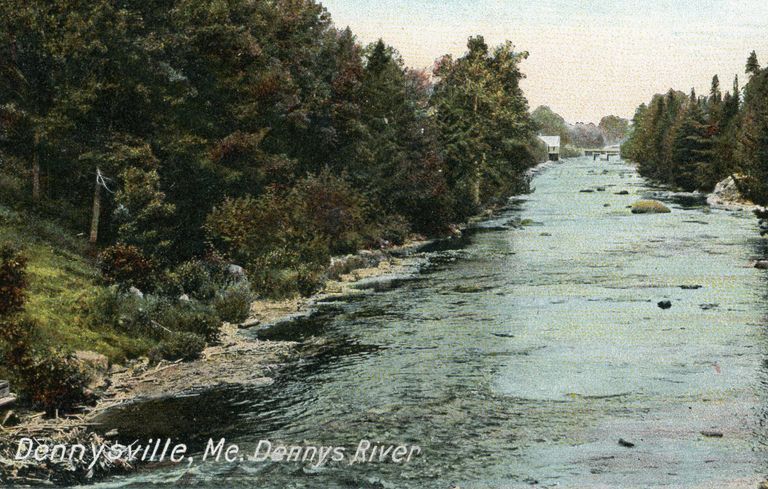          Dennys River picture number 1
   