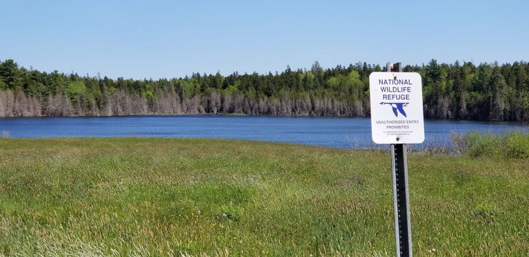          Tidal Marsh at Little Falls, now part of the Moosehorn National Wildlife Refuge.; View of the seventeen acre tidal marsh at Little Falls seen in the 1881 Colby Atlas Map below.
   