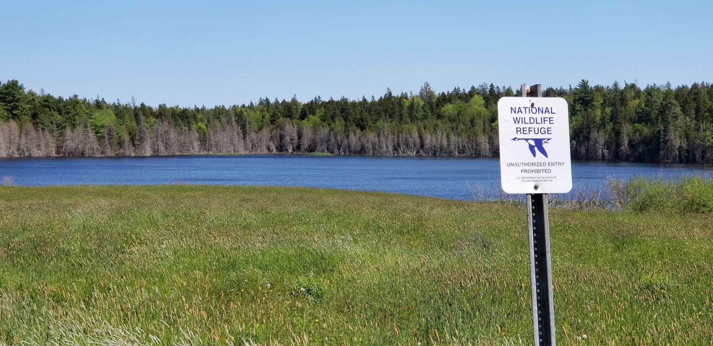 Tidal Marsh at Little Falls, now part of the Moosehorn National Wildlife Refuge.; View of the seventeen acre tidal marsh at Little Falls seen in the 1881 Colby Atlas Map below.