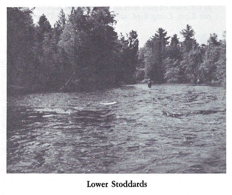          Lower Stoddards Rips on the Dennys River in Eastern Maine
   