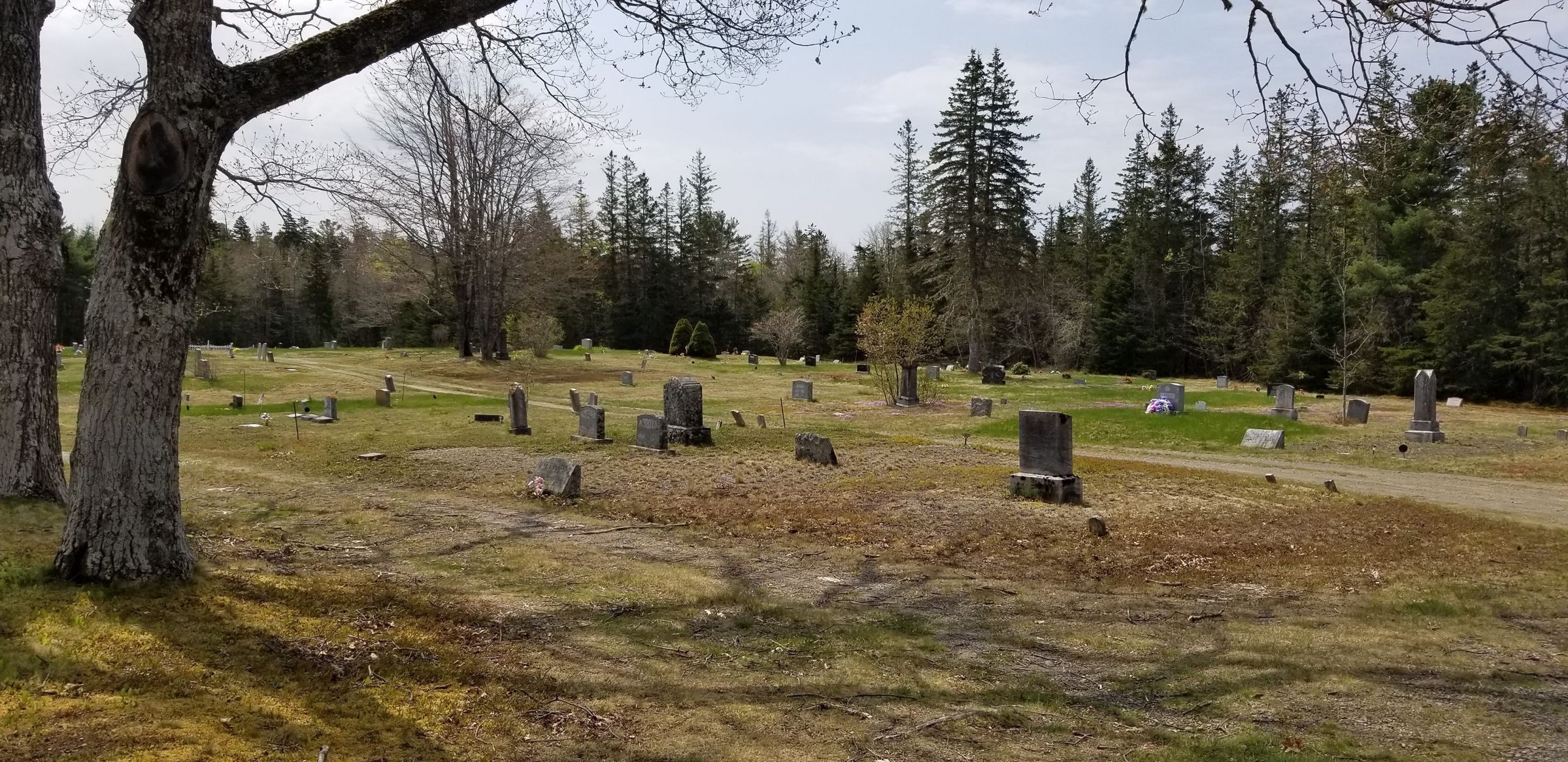 Clark Side Cemetery, Pembroke, Maine