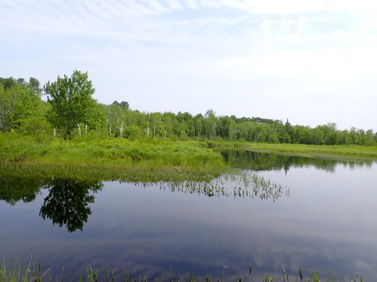          Confluence of Dead Stream and the Dennys River,; Dead Stream flows through Cooper, Maine into the Dennys River several miles downstream from its source in Meddybemps Lake.
   