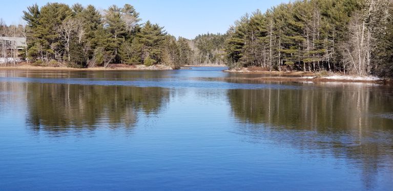          Mill Pond, Dennysville, Maine; View of the mill pond created where Meadow Brook meets the tidal flow of Wilson's Stream, as seen from Shipyard Road.
   