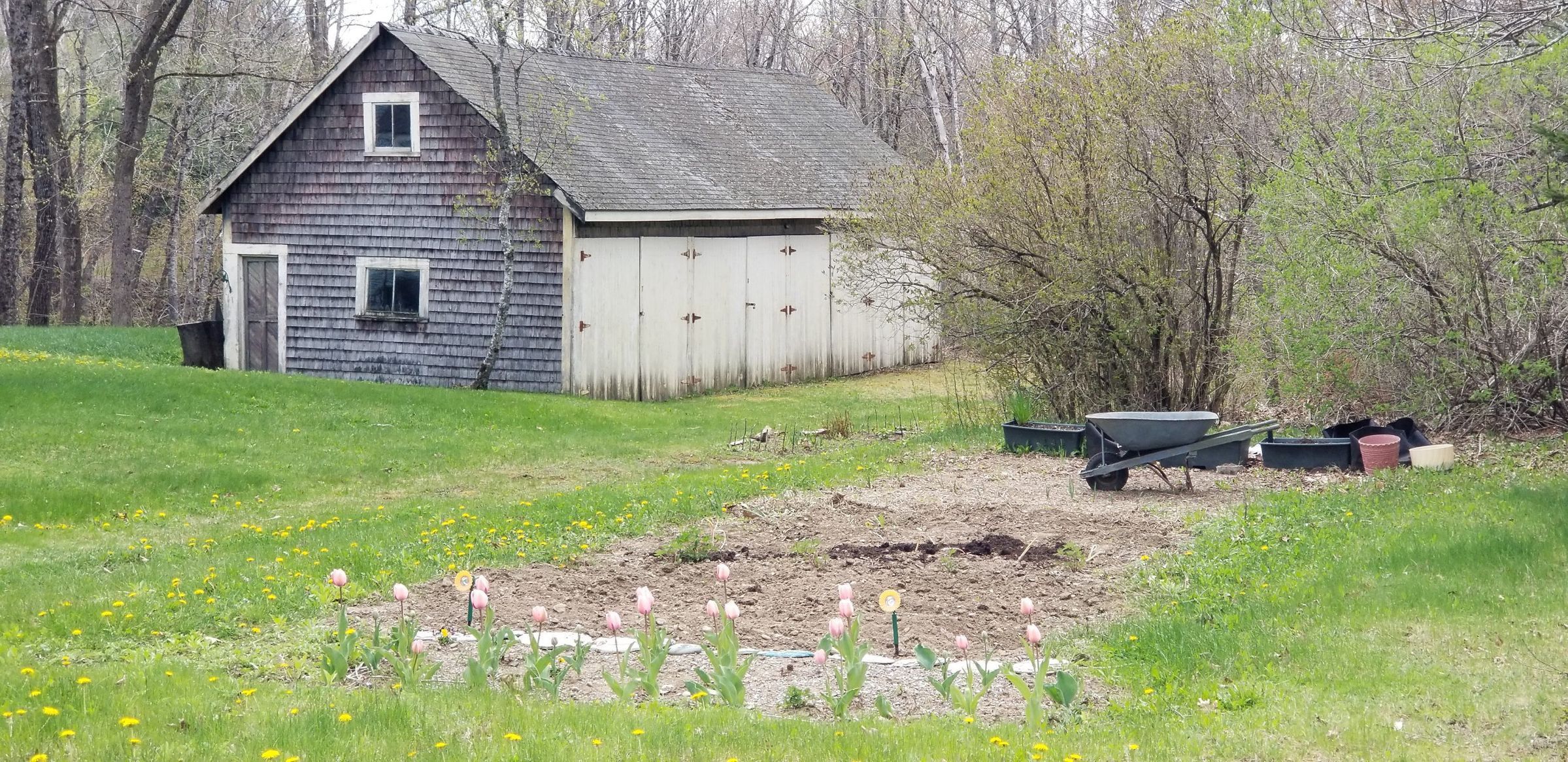 A carriage shed in Meddybemps, Maine; An old turn of the century carriage shed watches over a spiring garden off Route 191 in Meddybemps, Maine