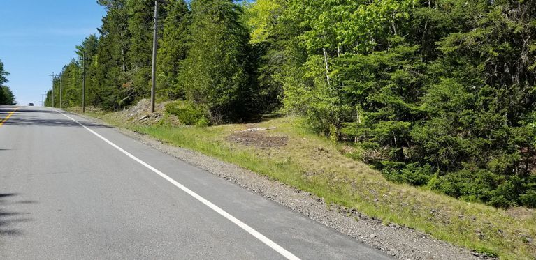          Towse's Corner, U. S. Route 1, Edmunds, Maine; The road leading into the woods on the right was a notoriously sharp corner before U.S. Route 1 was straightened in 1950's.
   