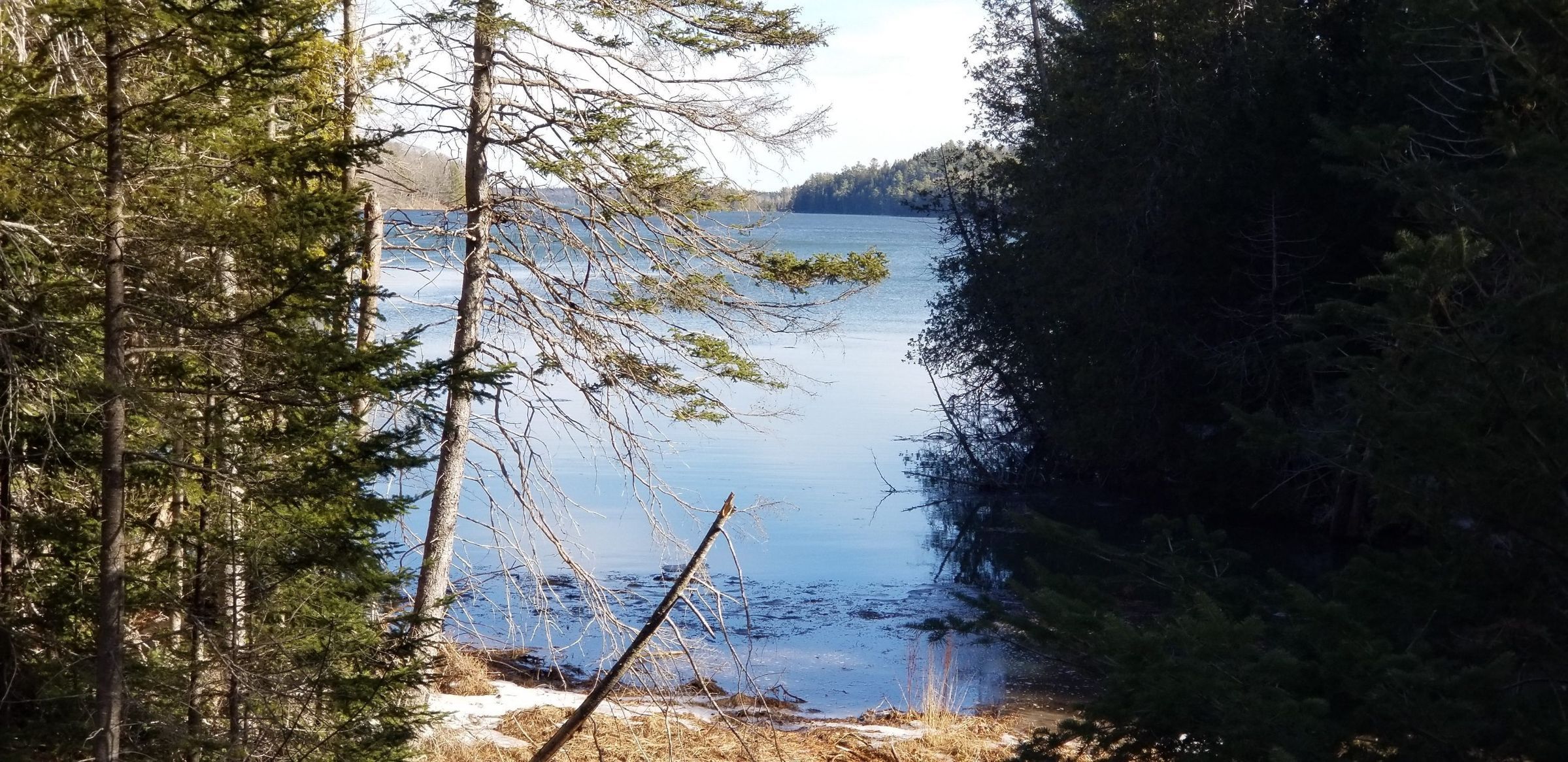 Bosworth Cove, Dennysville, Maine