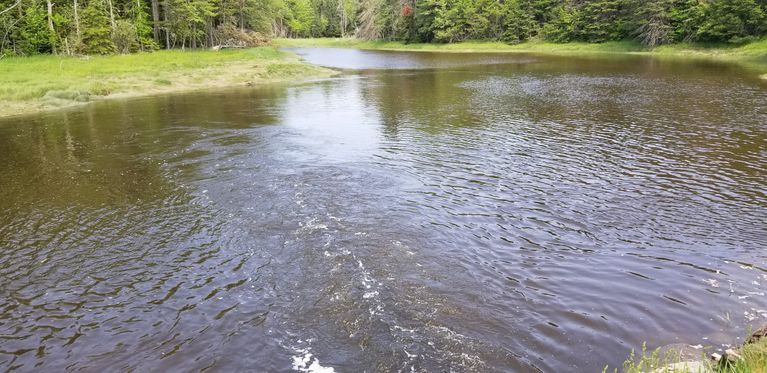          Dock Brook, Dennysville Maine
   