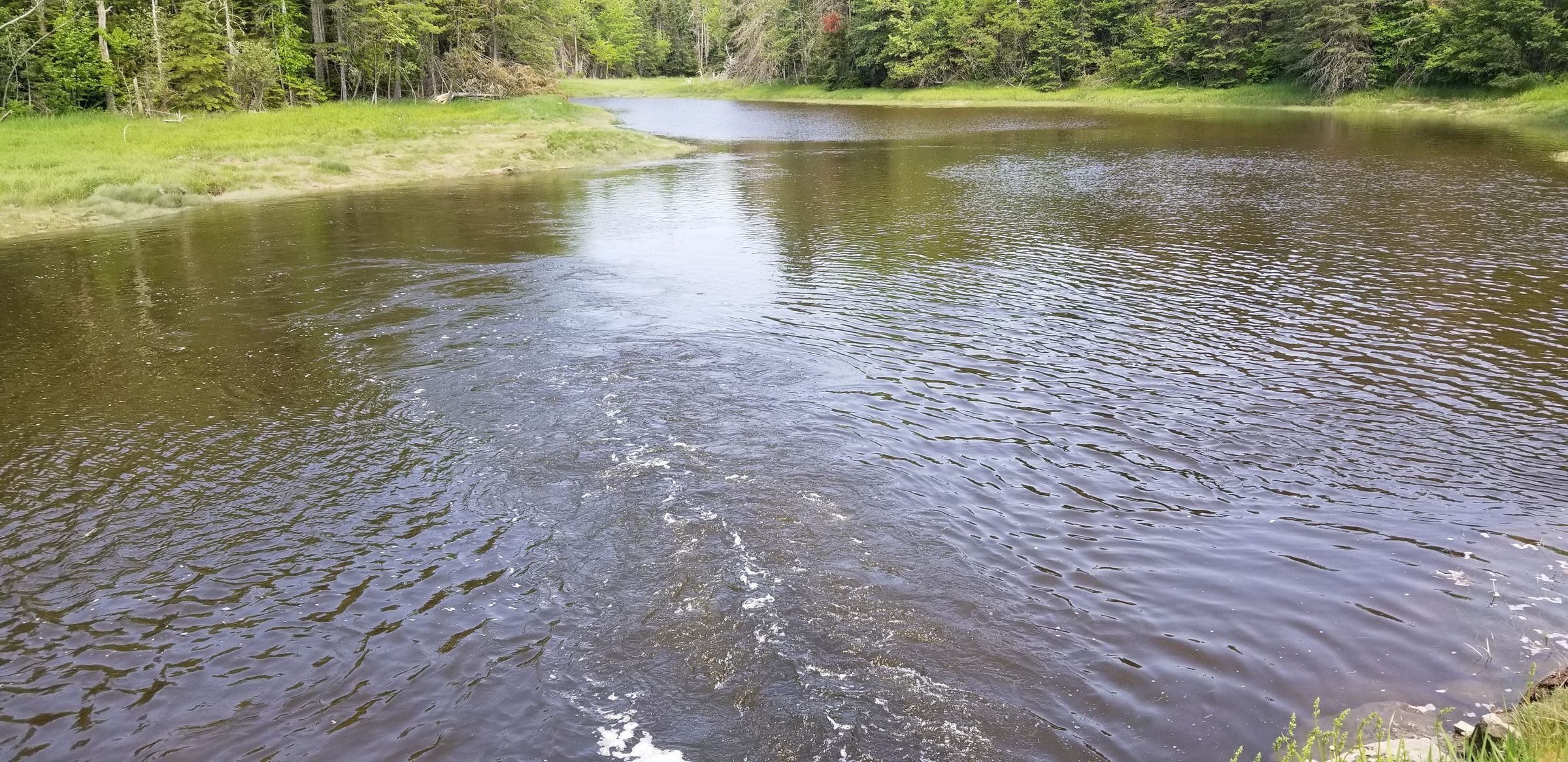 Dock Brook, Dennysville Maine