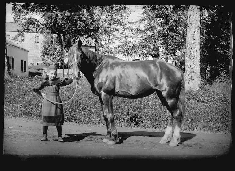          Grace Allan Higginsl with a Horse in Dennysville, Maine picture number 1
   