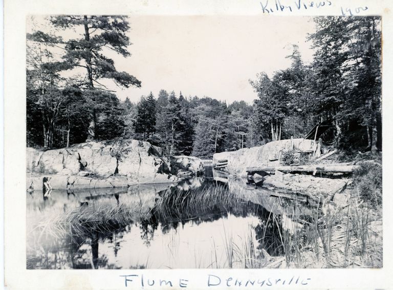          The Flume, Dennys River, Maine, Caption by Keith Kilby; Photo courtesy of The Tides Institute, Eastport, Maine
   