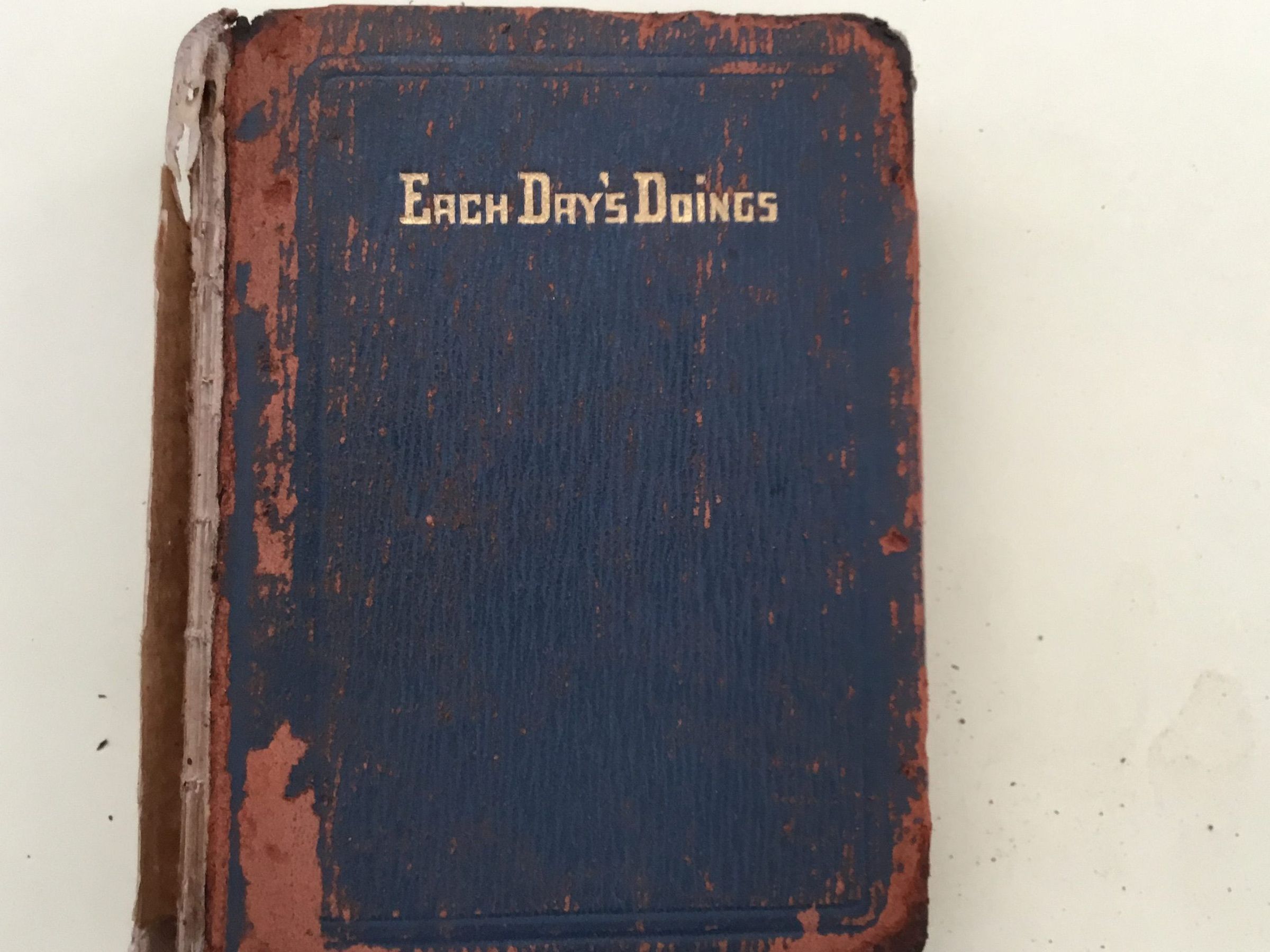 Each Day's Doings: A Girl's Diary picture number 1