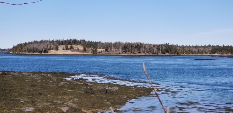          Mahar's Point, Pembroke, Maine; View of the field where Edmund Mahar settled in the 1770's on the end of Leighton's Neck, where the waters of Dennys River flow into Cobscook Bay through the Reversing Falls.
   