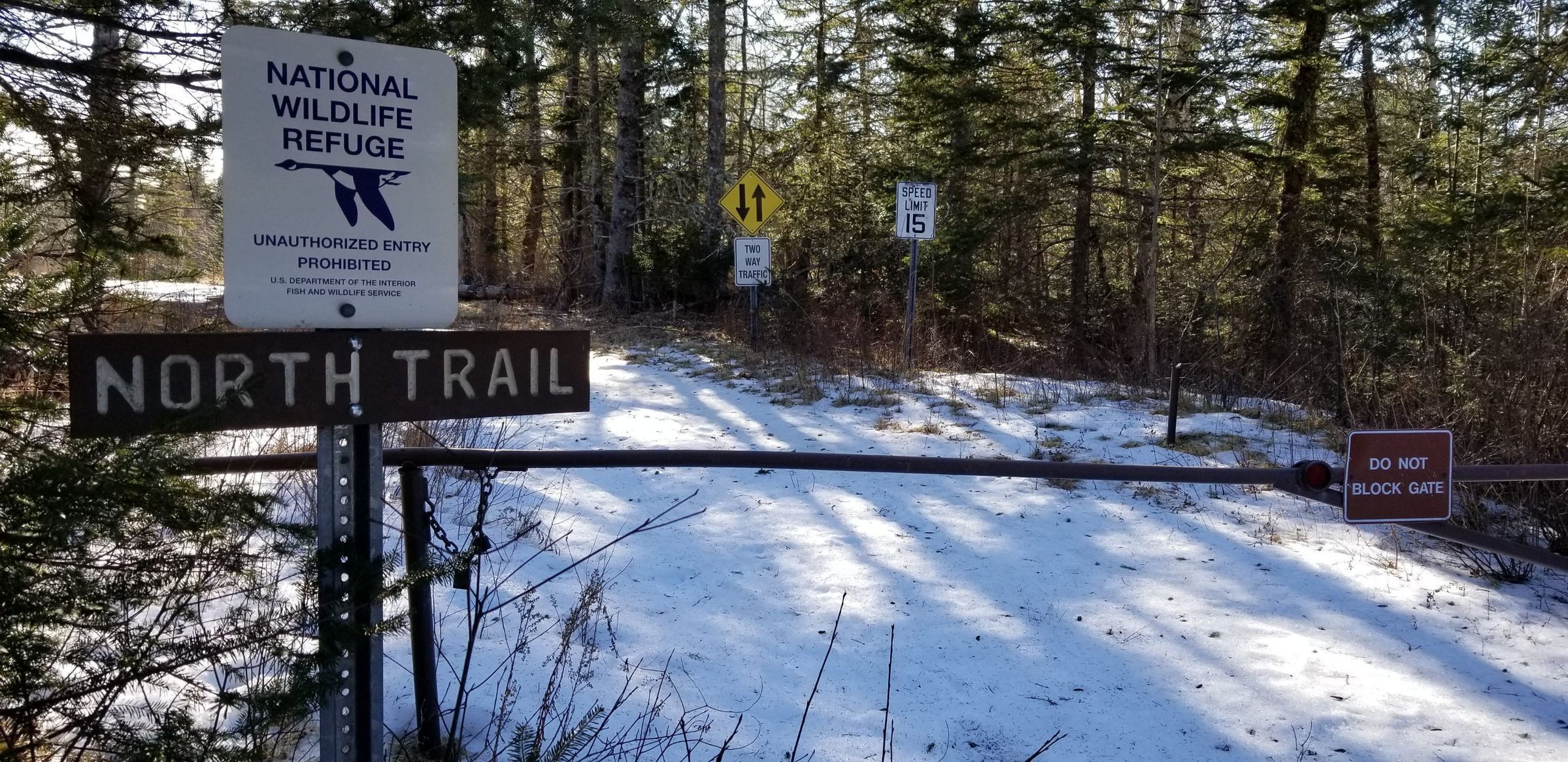 North Trail, U.S. Route 1, National Wildlife Refuge, Edmunds, Maine; Head of the North Trail in the Edmunds Division of the Moosehorn Wildlife Refuge.
