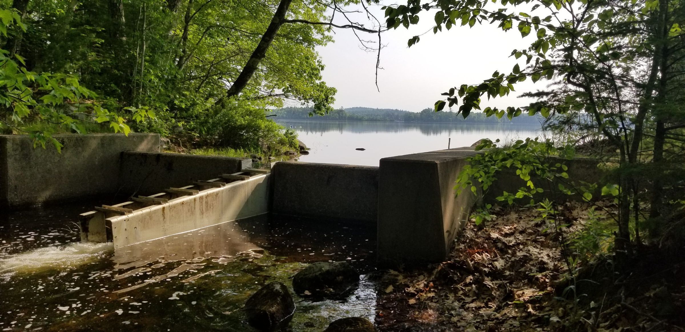 Canal Inlet and Fishway on Meddybemps Lake picture number 1