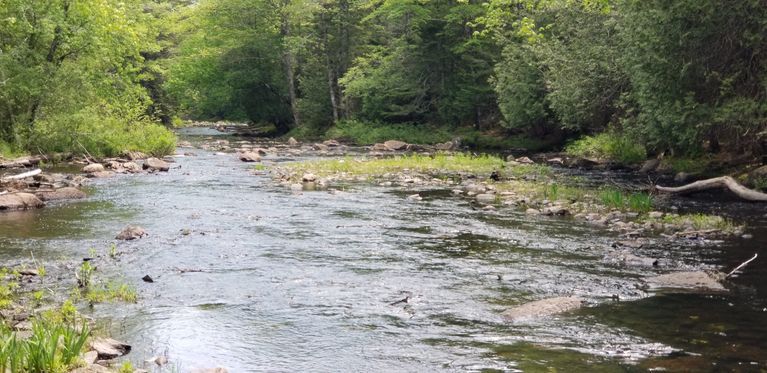          Cathance Stream mill site below the old Stagecoach Road in Marion, Maine; A sawmill was located at this site where the old Stagecoach Road to Machias crosses the Cathance Stream, during the middle of the 19th century.
   