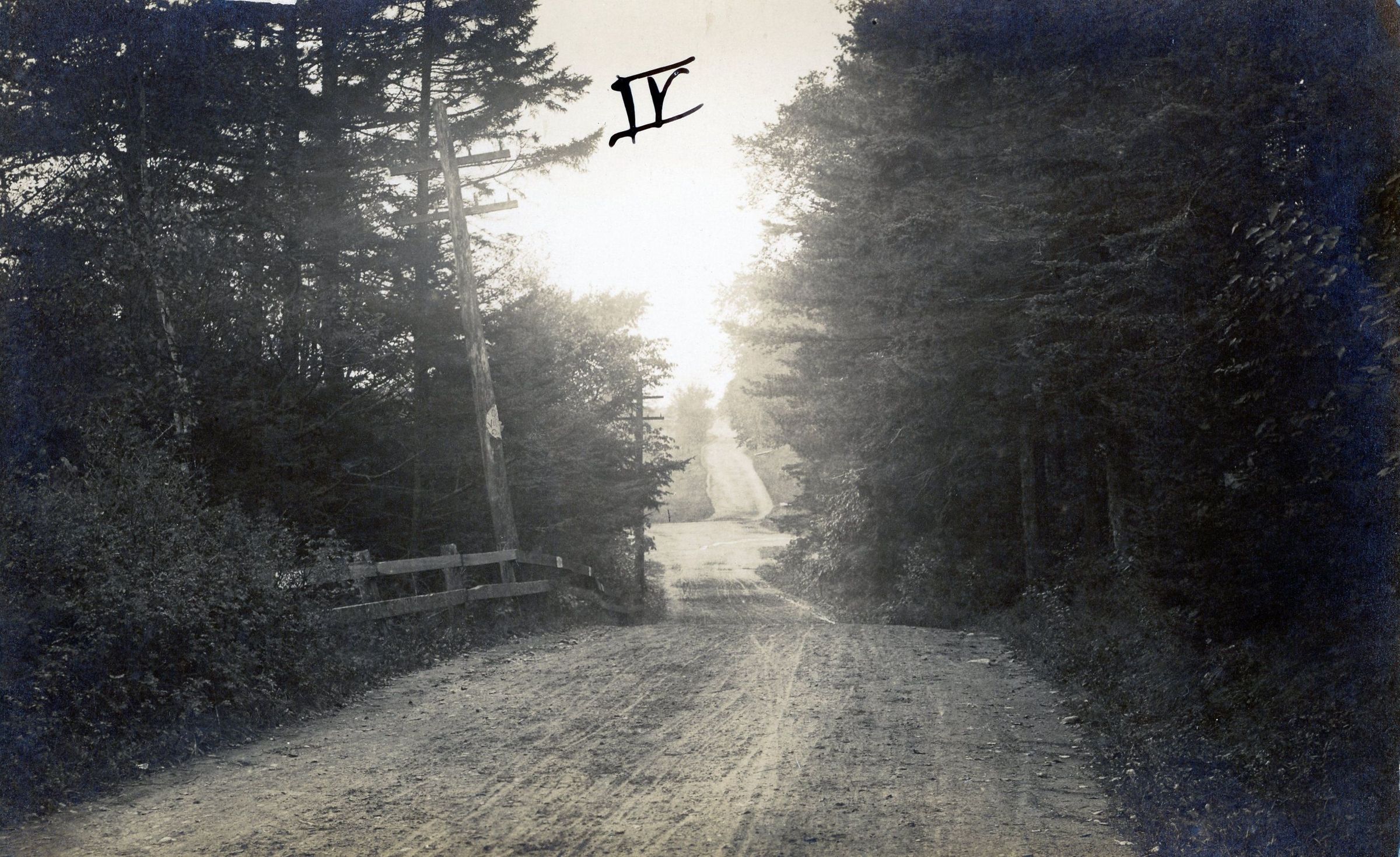 Willow Road, Dennysville, Maine picture number 1